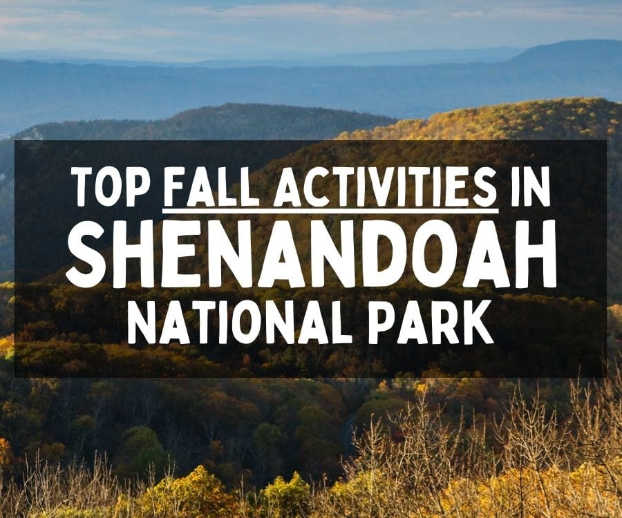 Top Fall Activities in Shenandoah National Park, Virginia