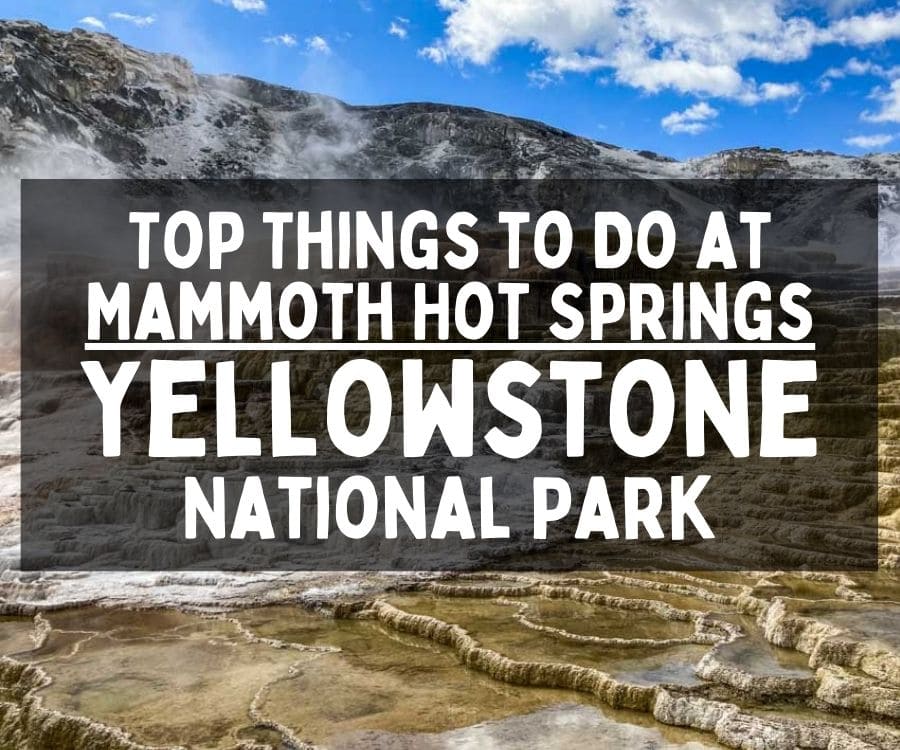 Top Things to Do at Mammoth Hot Springs, Yellowstone National Park