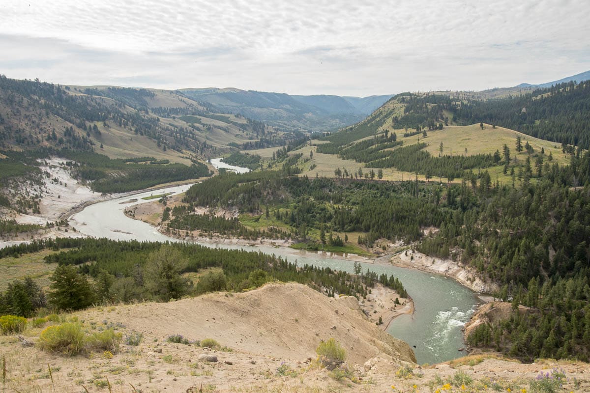 View of Yellowstone River from the Yellowstone River Picnic Area Trail, one of the top Yellowstone spring hikes - Image credit: NPS / Jim Peaco