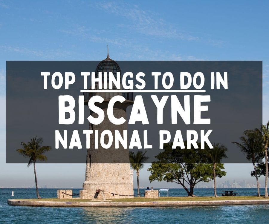 What to Do in Biscayne National Park, Florida