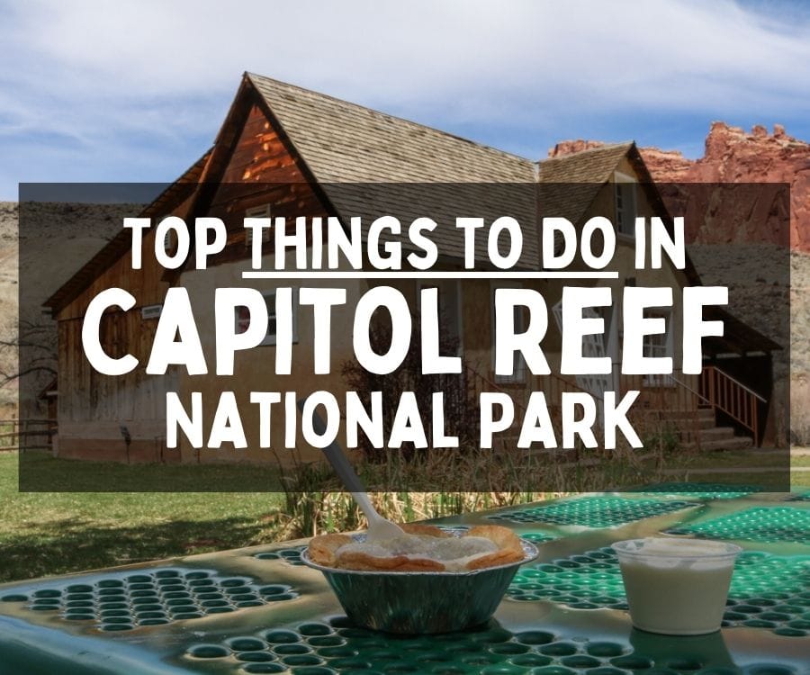 What to Do in Capitol Reef National Park, Utah