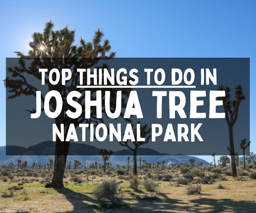 What to Do in Joshua Tree National Park, California