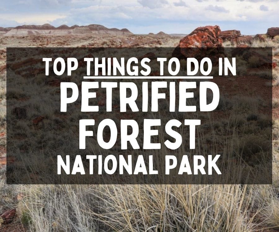 What to Do in Petrified Forest National Park, Arizona