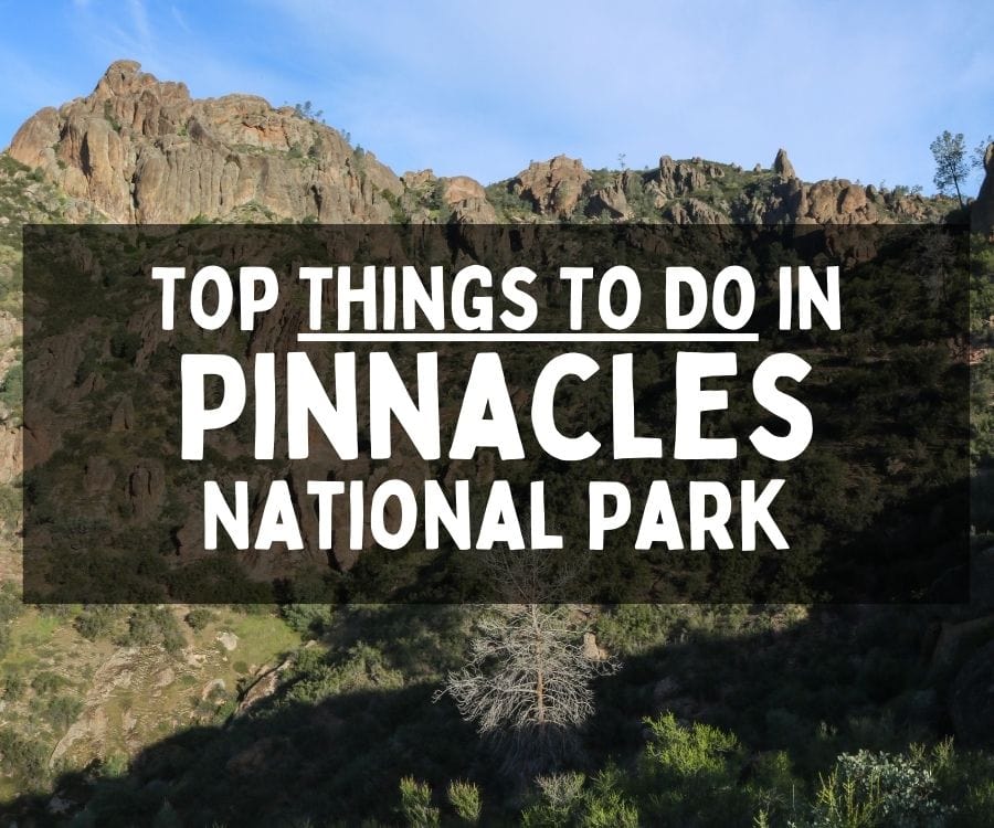 What to Do in Pinnacles National Park, California