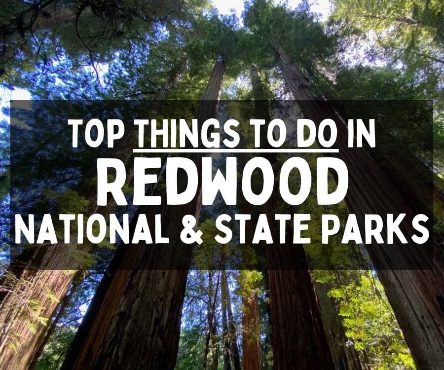 What to Do in Redwood National and State Parks, California