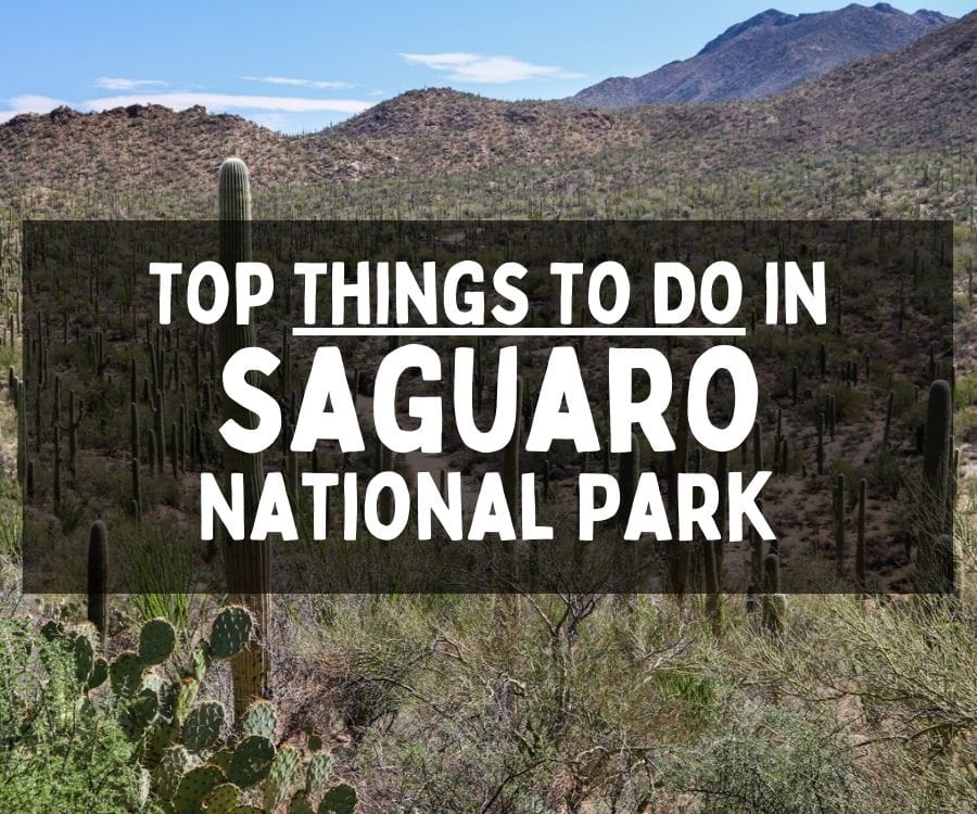 What to Do in Saguaro National Park, Arizona
