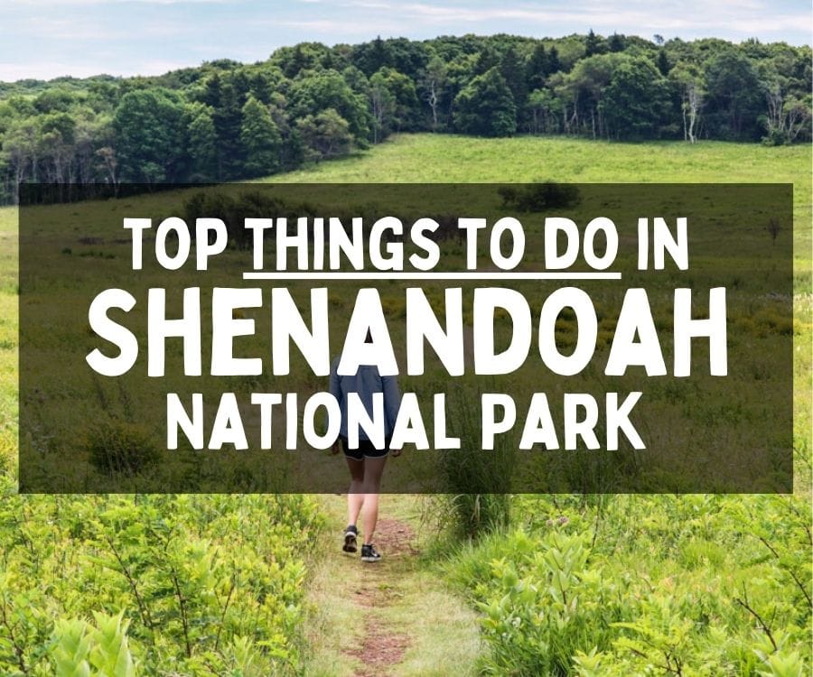 What to Do in Shenandoah National Park, Virginia