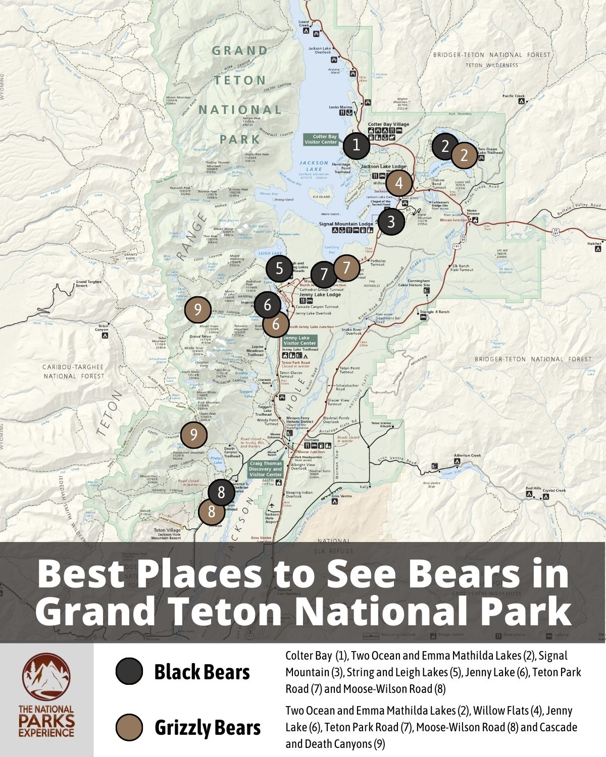 Map of the Best Places to See Bears in Grand Teton National Park