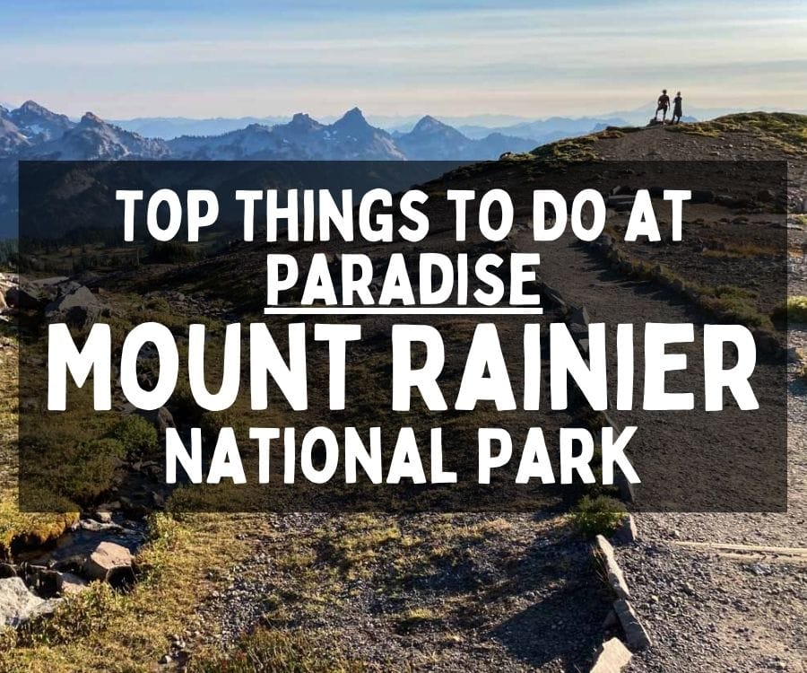 Top Things to Do at Paradise, Mount Rainier National Park