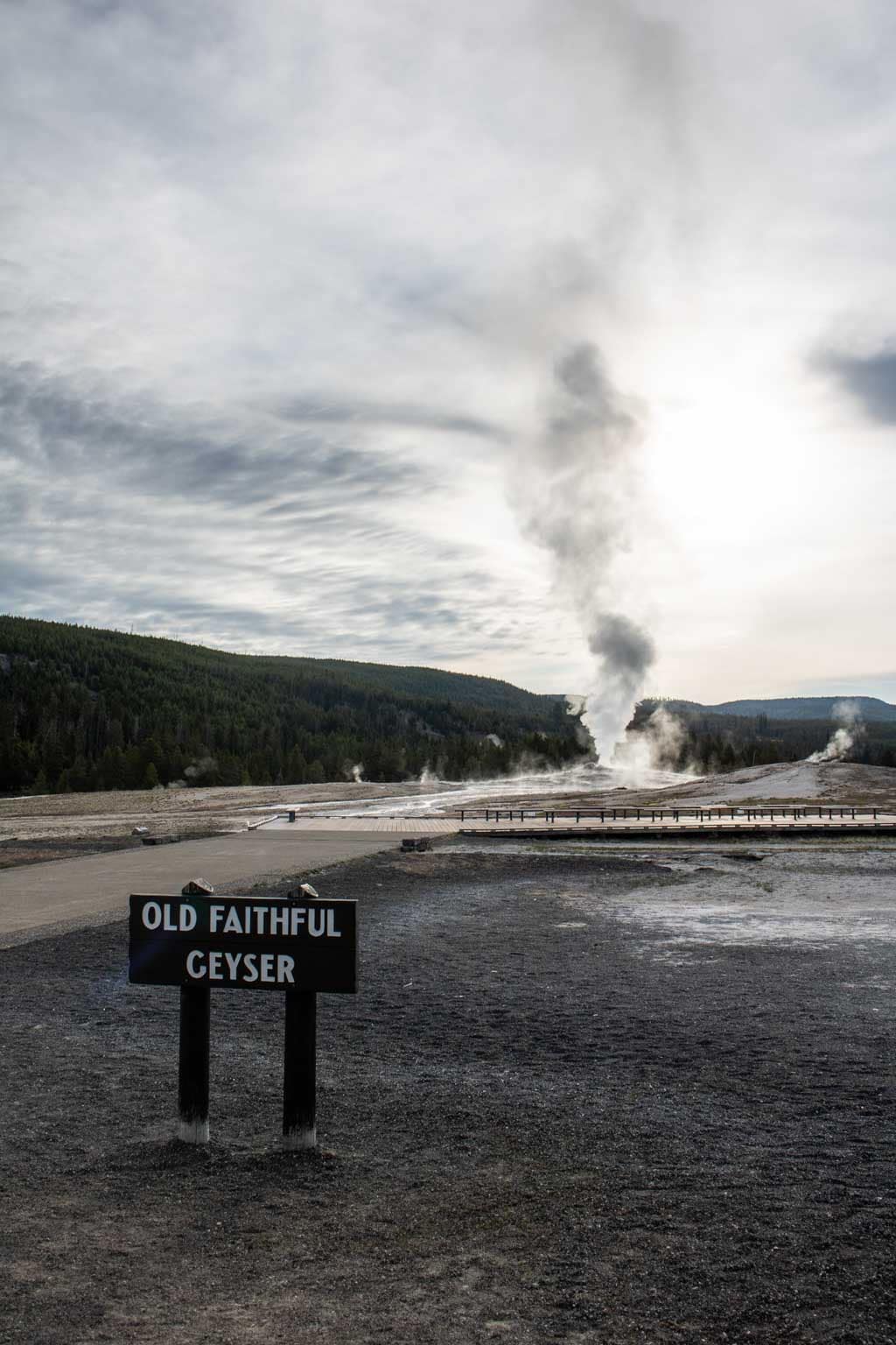 Old Faithful Geyser sign, Upper Geyser Basin, Yellowstone National Park
