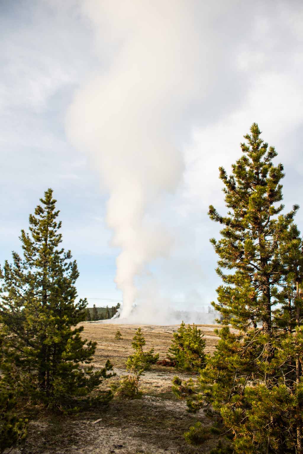 Old Faithful eruption in the morning, Yellowstone National Park
