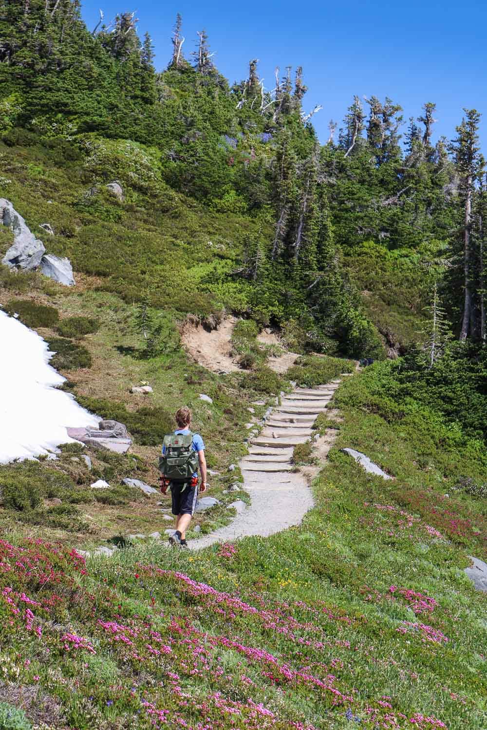 Hiker and wildflowers on the Skyline Trail in Mount Rainier National Park