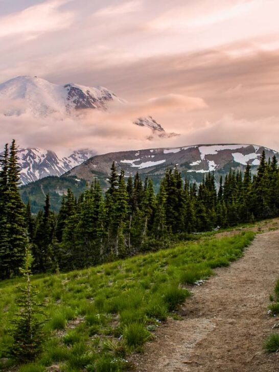 Sourdough Ridge Trail with Mount Rainier views at sunset, Mount Rainier National Park
