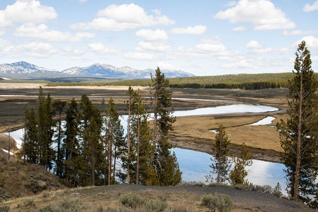 Hayden Valley and Yellowstone River overlook, Yellowstone National Park