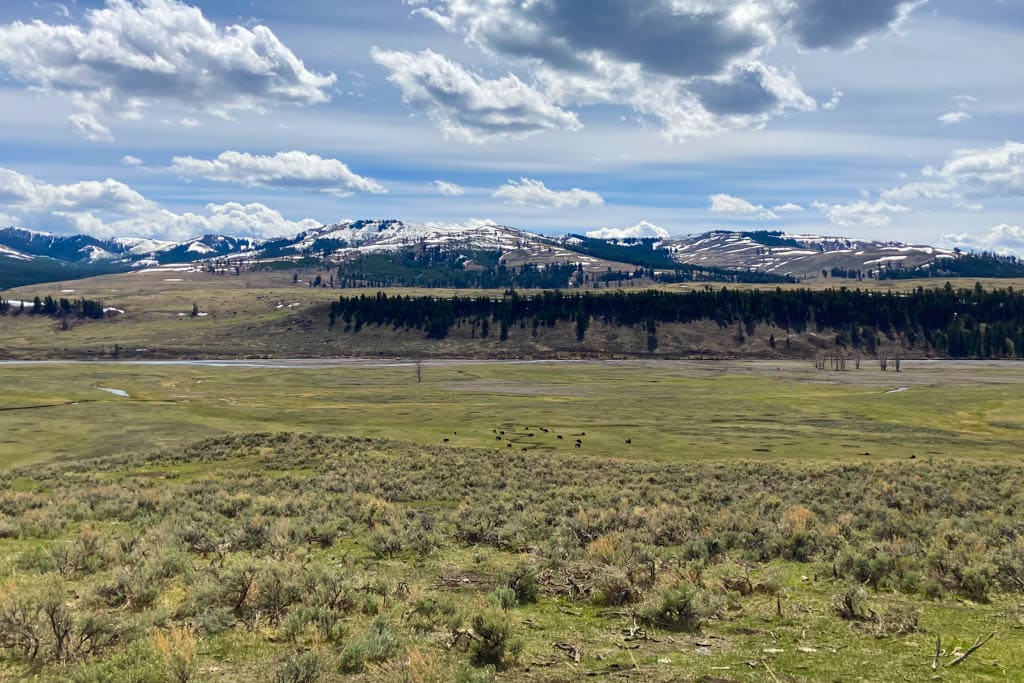Lamar Valley in northern Yellowstone National Park