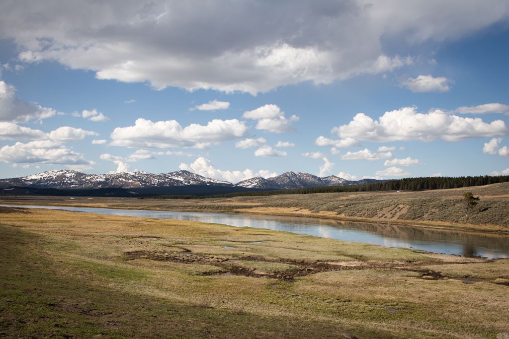 View of the Yellowstone River in Hayden Valley, Yellowstone National Park