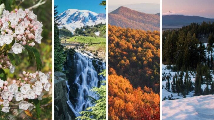 Best Times to Visit Each National Park