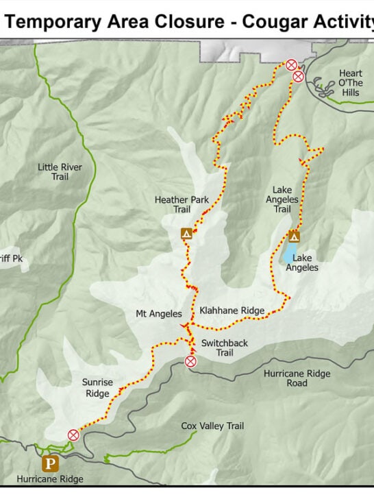 Lake Angeles Area Temporary Closure in Olympic National Park Due to Cougar Attack