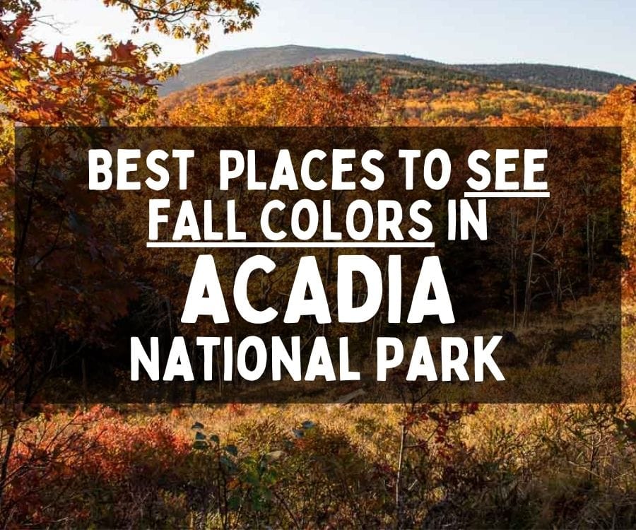 Best Places to See Fall Colors in Acadia National Park