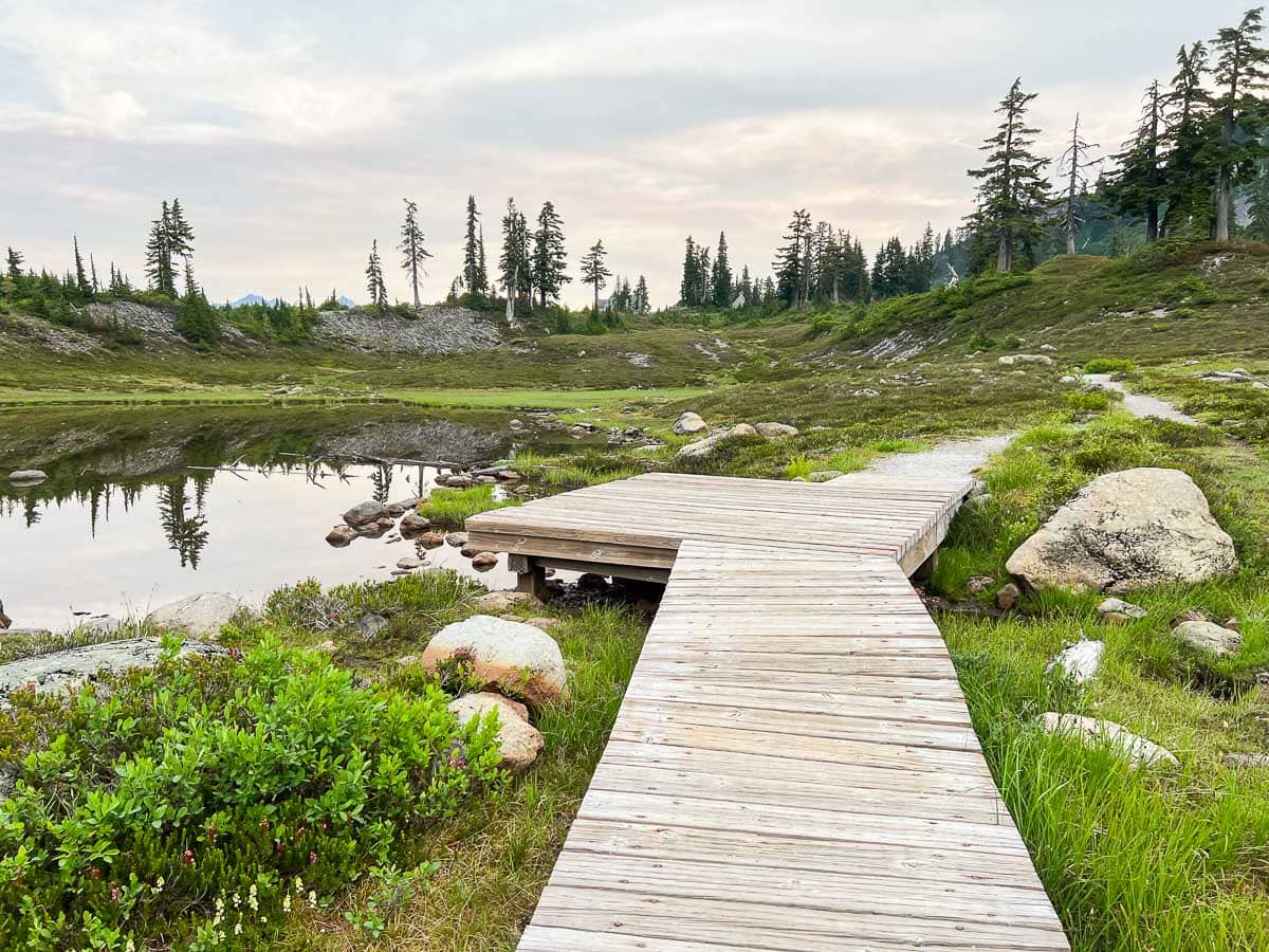 Boardwalk on the Fire and Ice Trail, Mount Baker