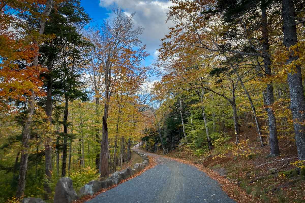 Carriage road in fall in Acadia National Park