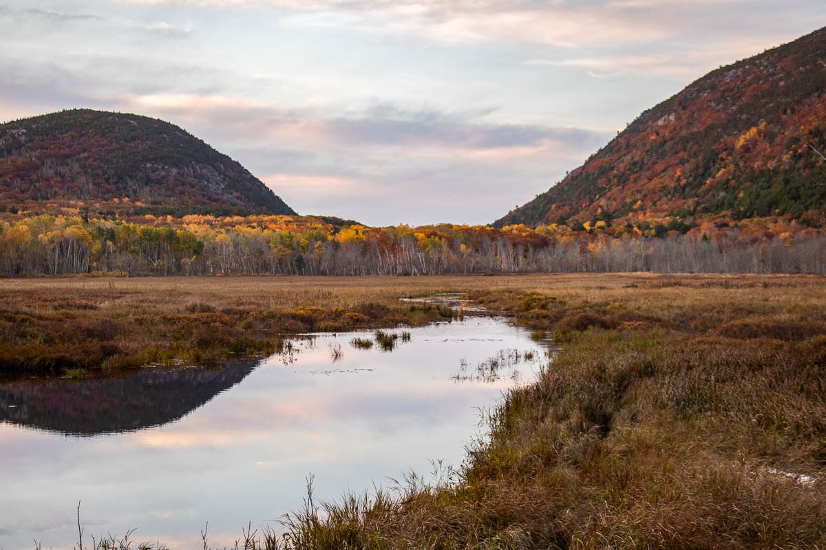 Cromwell Brook reflection at Great Meadow Wetland in fall, Acadia National Park, Maine