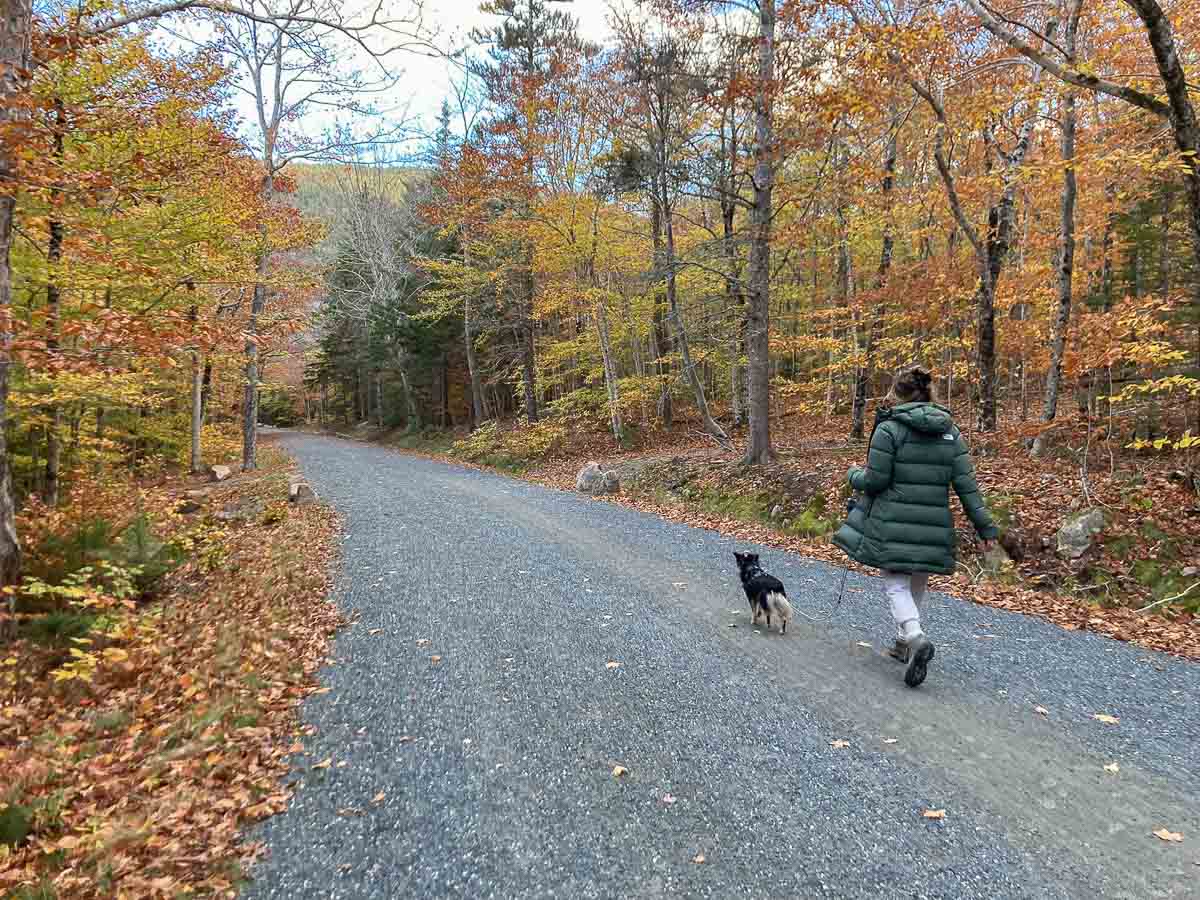 Dog and owner walking on a carriage road in Acadia National Park, Maine