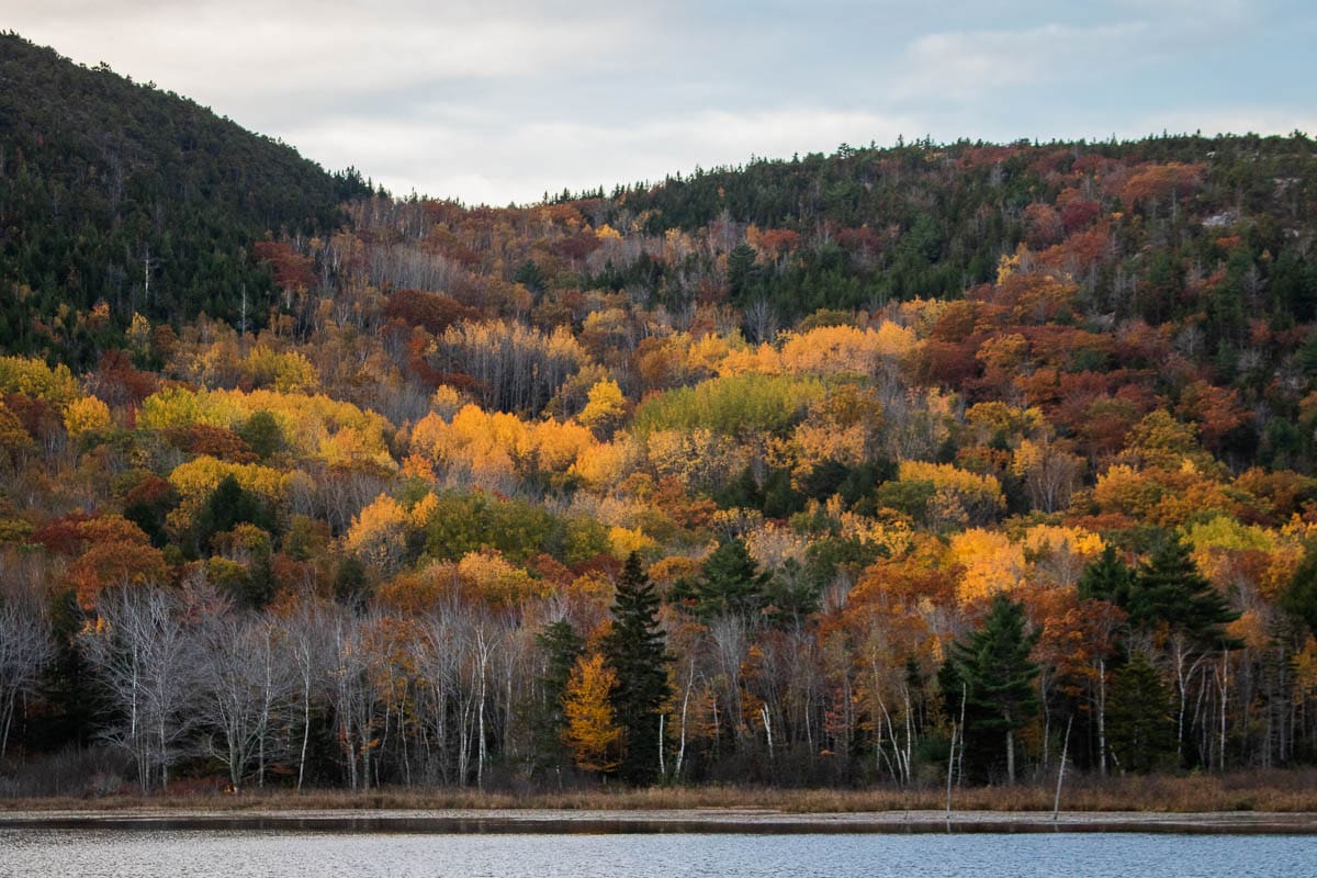 Fall colors at Beaver Dam Pond in Acadia National Park, Maine