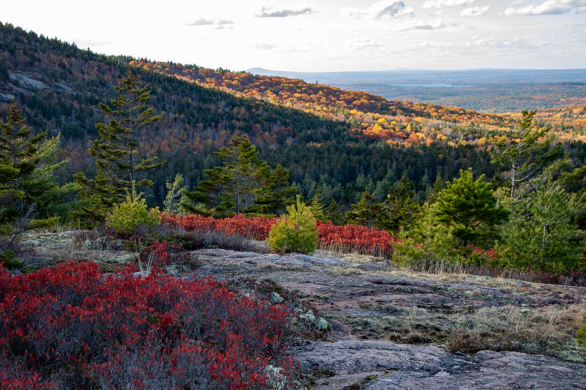 Fall foliage on the Bubbles Nubble Loop in fall in Acadia National Park, Maine