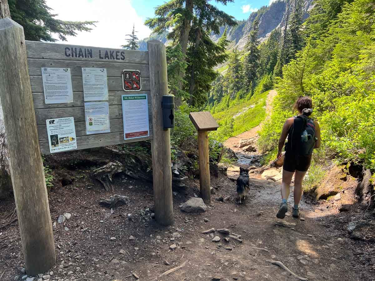 Hiker and dog at the Chain Lakes Loop trailhead at Mount Baker