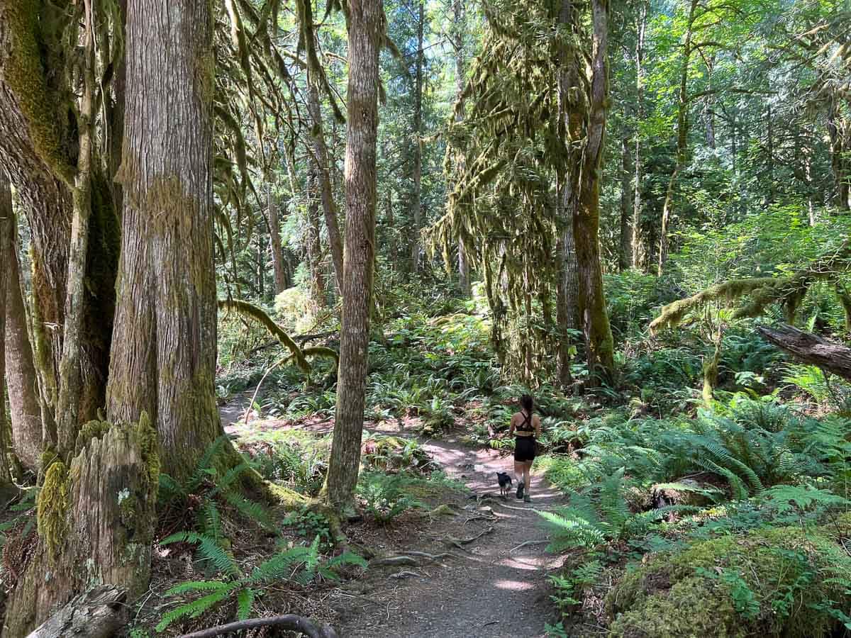Hiker and her dog on the Horseshoe Bend Trail in Mount Baker-Snoqualmie National Forest