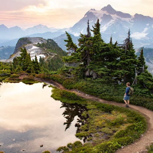 Hiker on the Table Mountain Trail, one of the best day hikes at Mount Baker, Mt. Baker-Snoqualmie National Forest, Washington State
