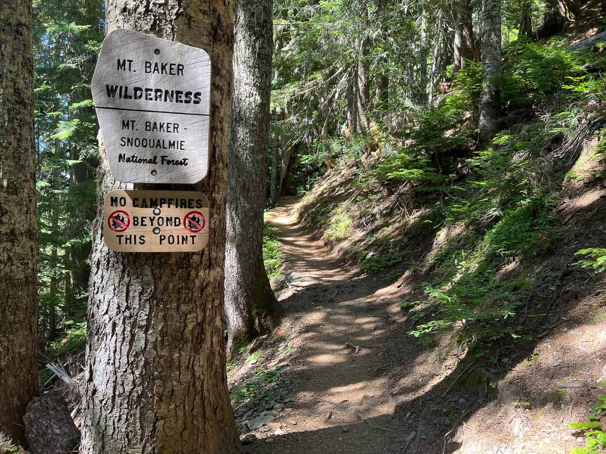 Mount Baker Wilderness sign on the Yellow Aster Butte Trail