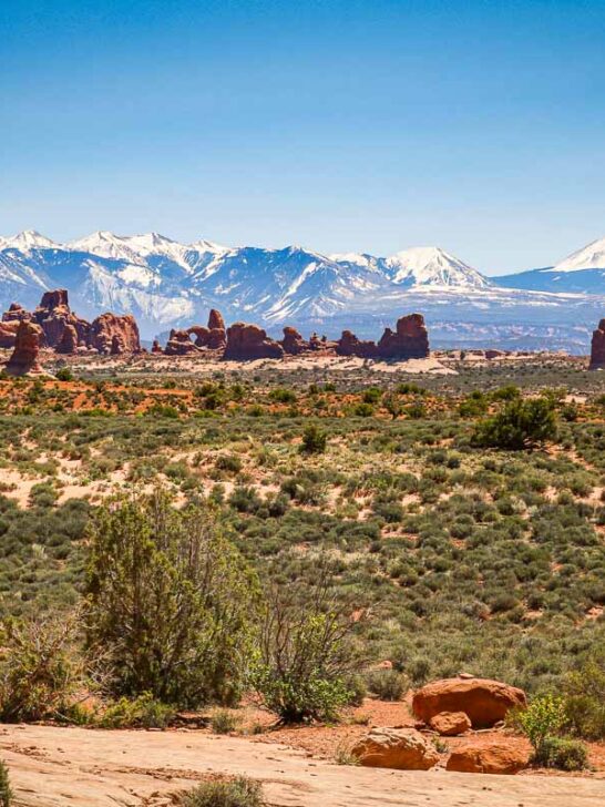 Views of The Windows area and La Sal Mountains, Arches National Park