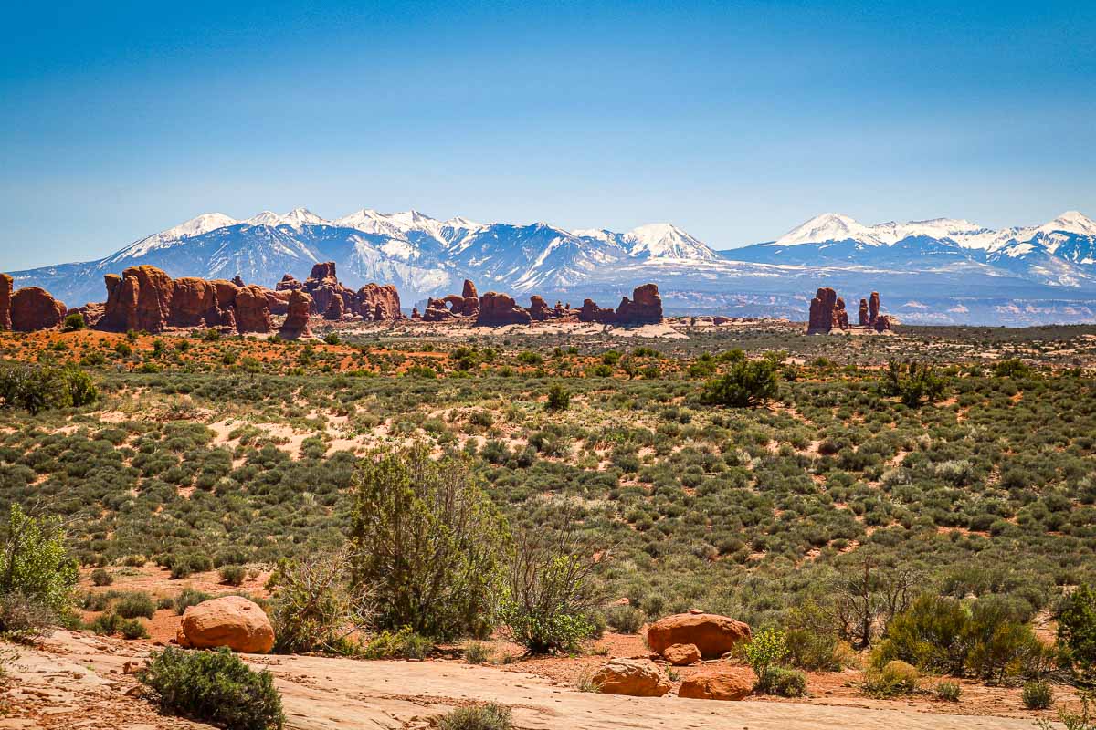 Views of The Windows area and La Sal Mountains, Arches National Park