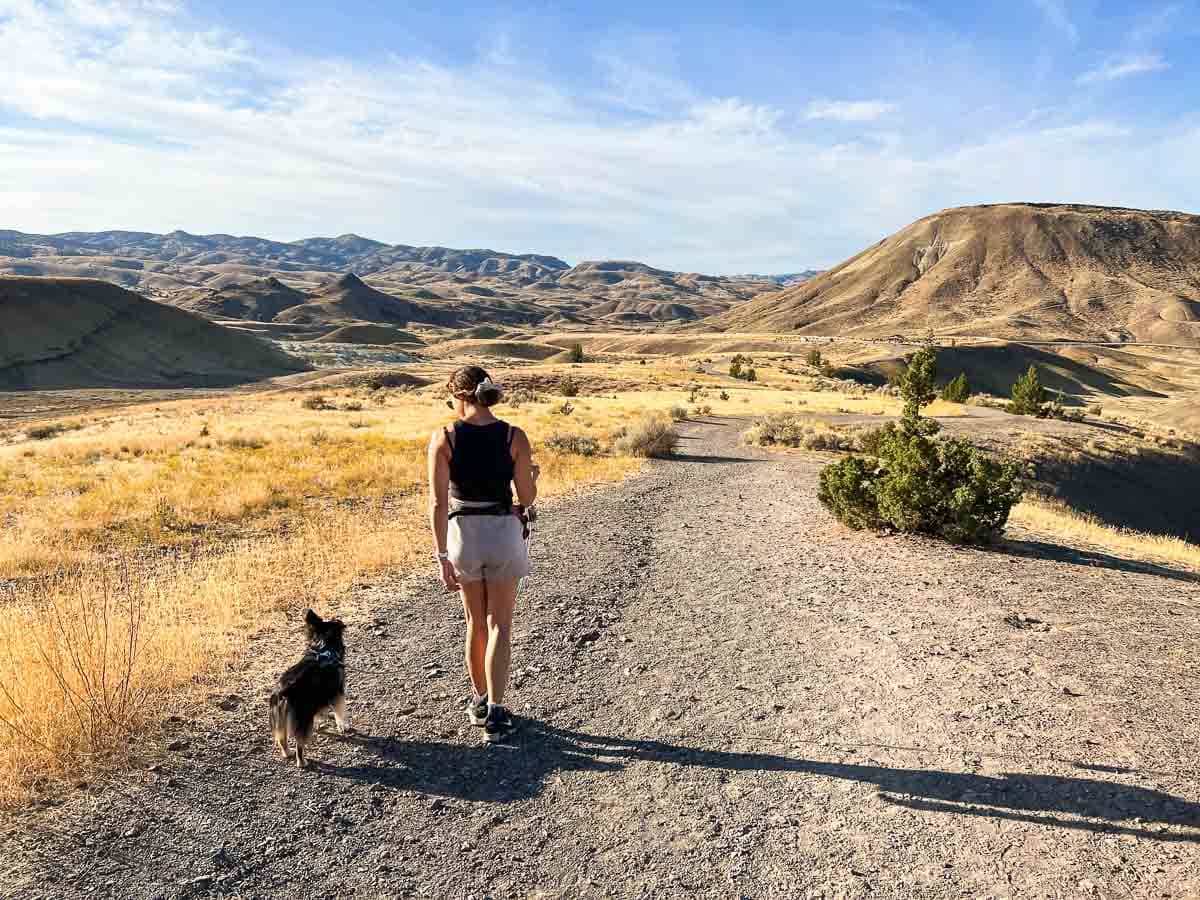 Dog with owner on the Painted Hills Overlook Trail in John Day Fossil Beds National Monument