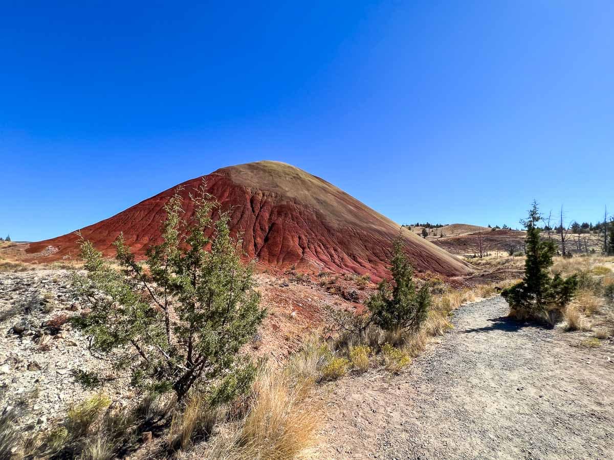 Red Scar Knoll Trail in John Day Fossil Beds National Monument, Oregon