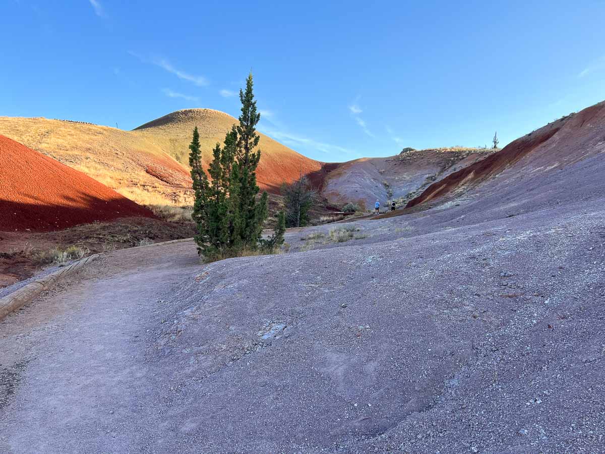 Red Scar Knol Trail in John Day Fossil Beds National Monument