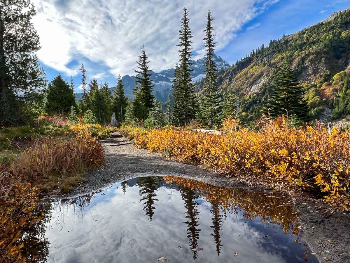 Beautiful fall colors along the Bench and Snow Lakes Trail, Mount Rainier National Park, Washington