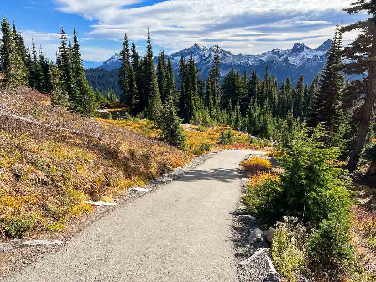 Fall colors on the Alta Vista Trail in Mount Rainier National Park