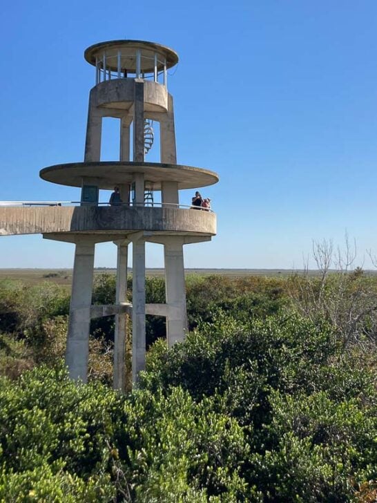 Shark Valley Observation Tower in Everglades National Park