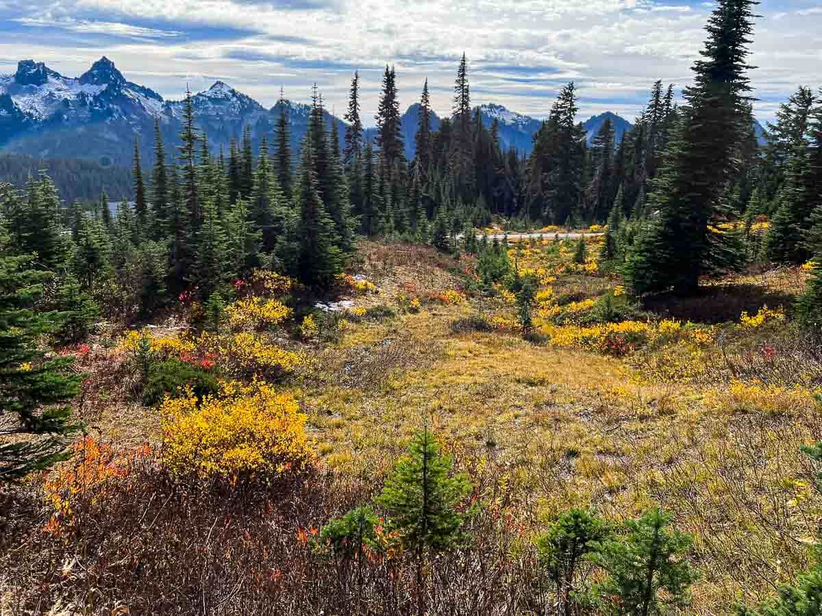 Vibrant fall colors on the Skyline and Alta Vista Trail, Mount Rainier National Park