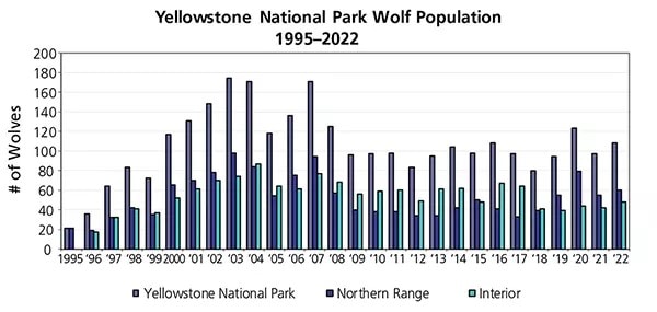 Yellowstone National Park wolf population graph 1995-2022 - Image credit: NPS
