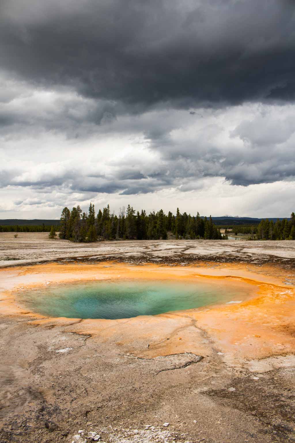Opal Pool is a colorful hot spring at Midway Geyser Basin in Yellowstone National Park