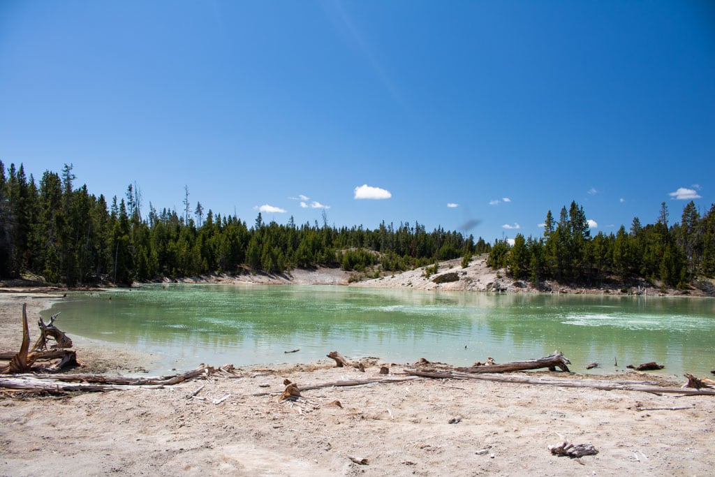 Sour Lake, Mud Volcano Area in Yellowstone National Park