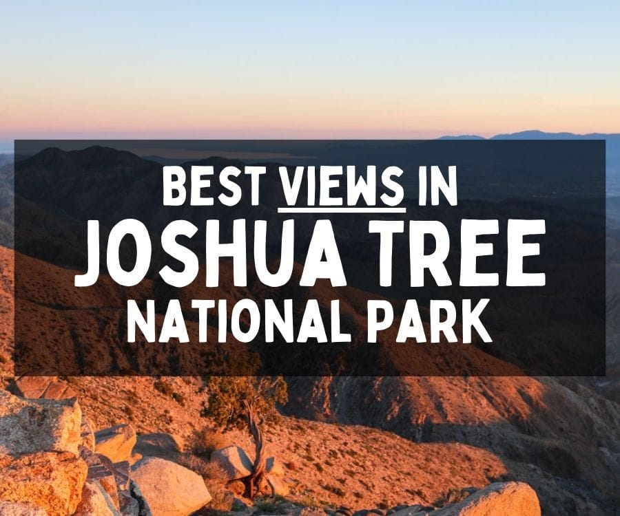 Best Views in Joshua Tree National Park