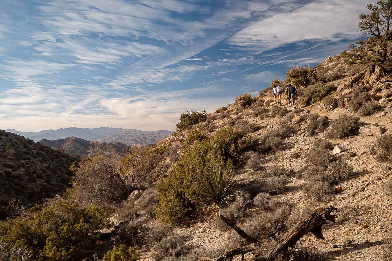 Hikers on the High View Trail in Joshua Tree National Park - Image credit: NPS / Carmen Aurrecoechea