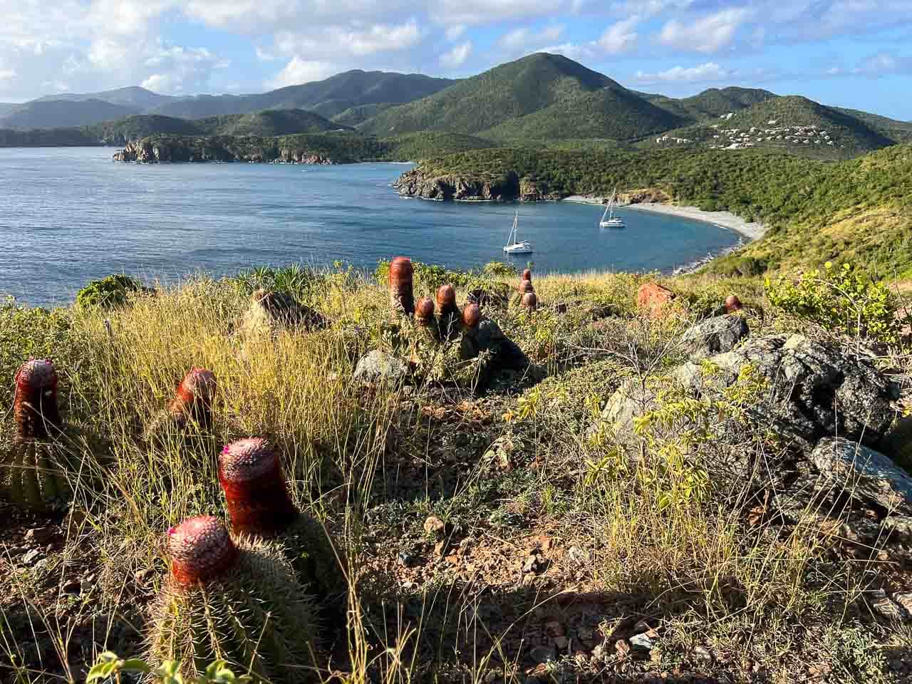 Beautiful view of the St. John coast on the Ram Head Trail in Virgin Islands National Park