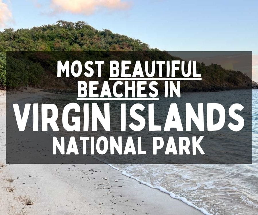 Most Beautiful Beaches in Virgin Islands National Park