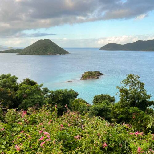 Waterlemon Cay seen from the Murphy Great House ruins on Johnny Horn Trail, Virgin Islands National Park